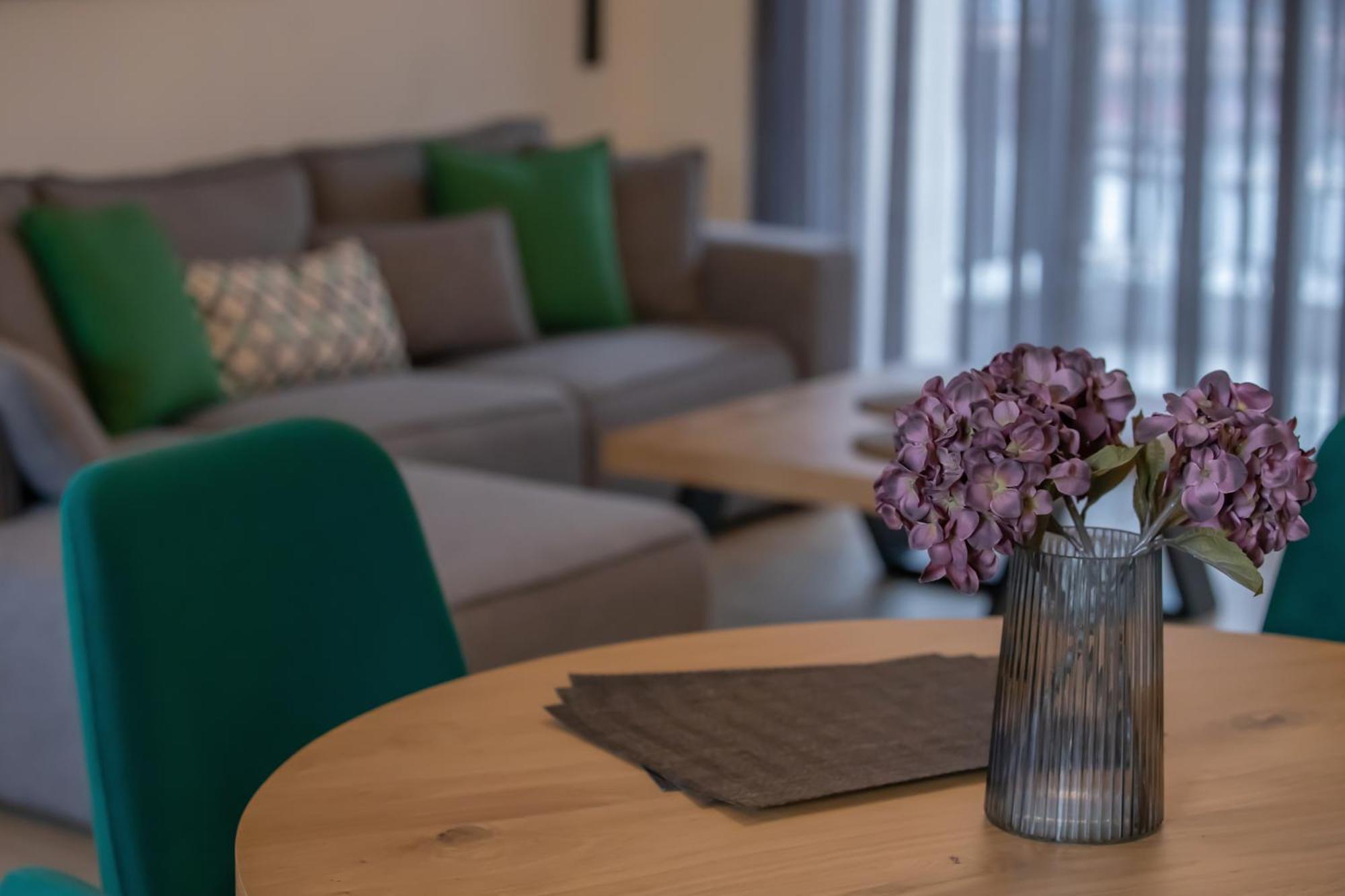 Element Suites - Green - Apt 1Bd - Kalambaka Eksteriør billede